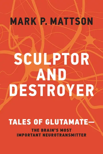 Cover of Sculptor and Destroyer