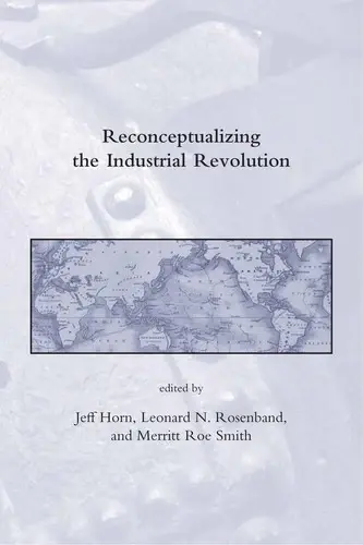 Cover of Reconceptualizing the Industrial Revolution