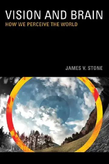 Cover of Vision