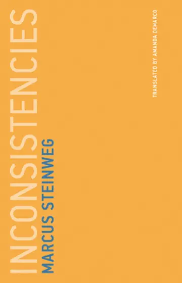 Cover of Inconsistencies