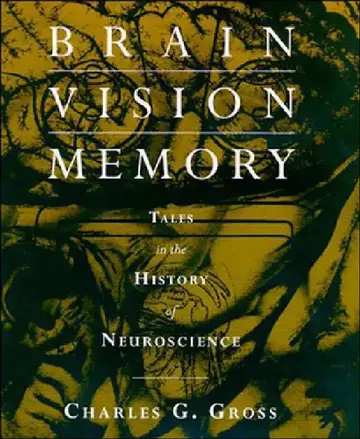 Cover of Brain, Vision, Memory