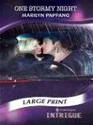 Cover of One Stormy Night (Harlequin Intrigue (Mills & Boon))