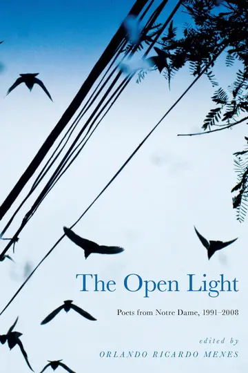Cover of The Open Light