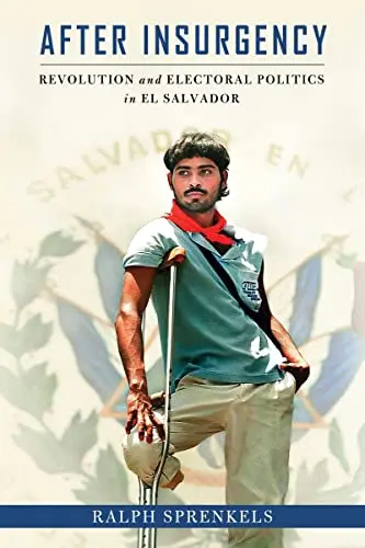 Cover of After Insurgency