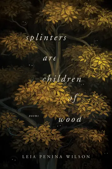 Cover of Splinters Are Children of Wood