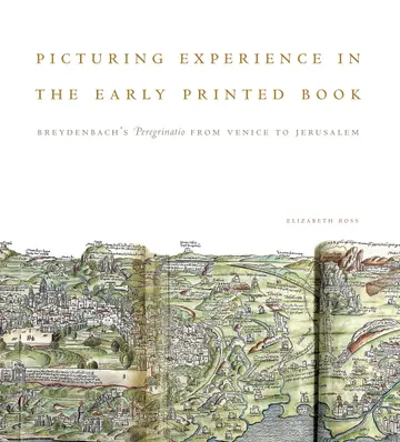 Cover of Picturing Experience in the Early Printed Book