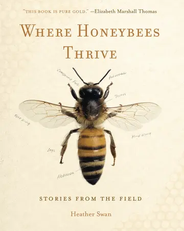 Cover of Where Honeybees Thrive
