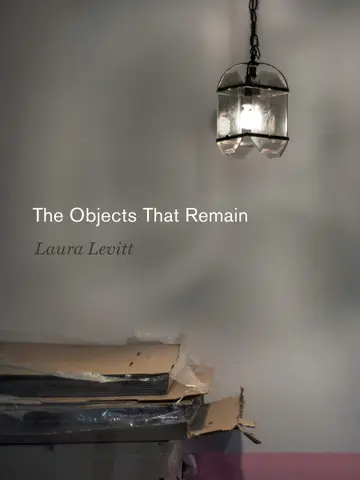 Cover of The Objects That Remain