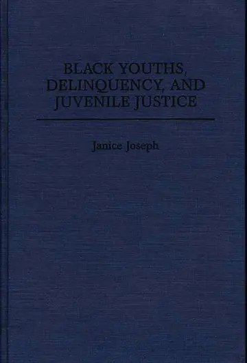 Cover of Black Youths, Delinquency, and Juvenile Justice