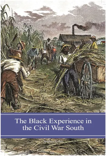 Cover of The Black Experience in the Civil War South