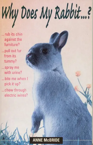 Cover of Why Does My Rabbit...?