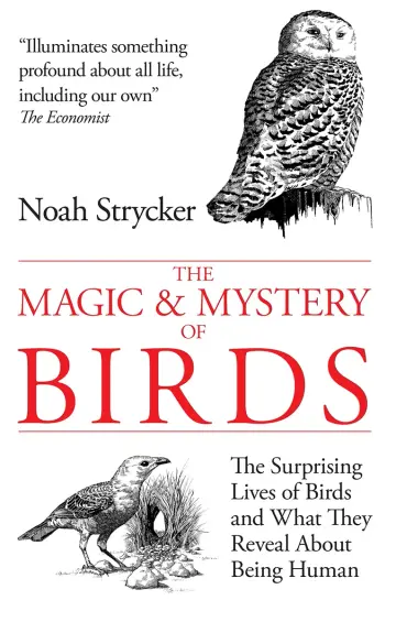 Cover of The Magic & Mystery of Birds