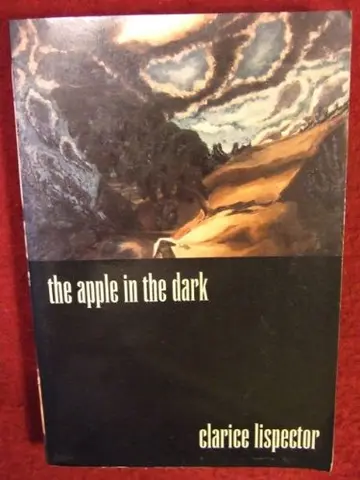 Cover of The Apple in the Dark