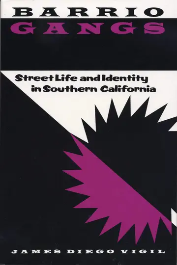 Cover of Barrio Gangs
