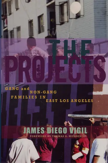 Cover of The Projects
