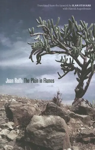 Cover of The Plain in Flames (Joe R. and Teresa Lozana Long Series in Latin American and Latino Art and Culture )
