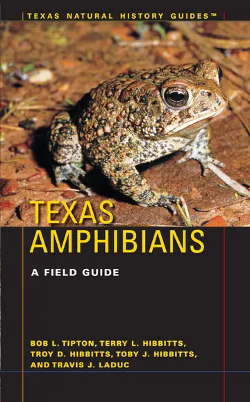 Cover of Texas Amphibians