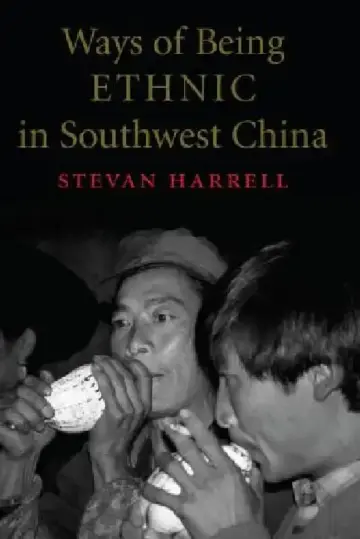 Cover of Ways of Being Ethnic in Southwest China