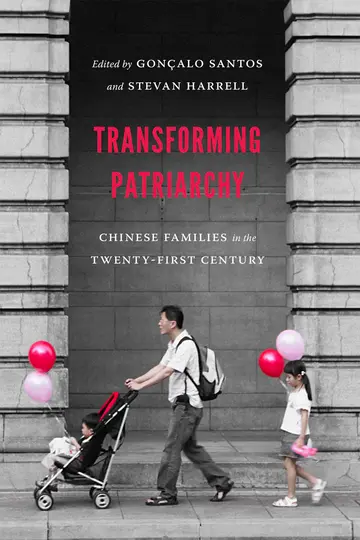 Cover of Transforming Patriarchy