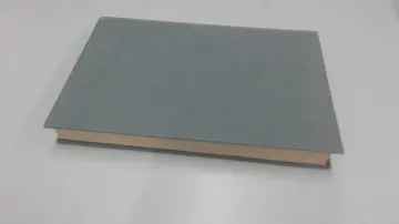 Cover of Revolutionaries