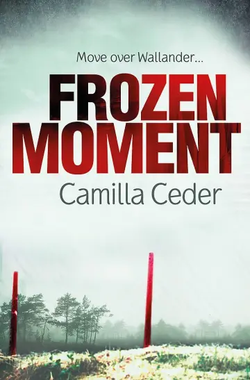 Cover of Frozen Moment