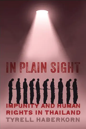 Cover of In Plain Sight