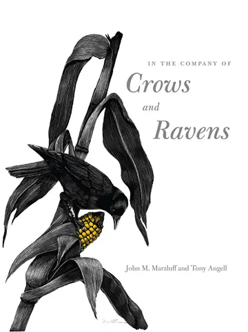 Cover of In the Company of Crows and Ravens