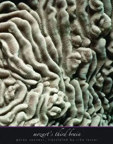 Cover of Mozart′s Third Brain