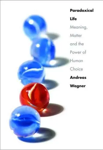 Cover of Paradoxical Life – Meaning, Matter and the Power of Human Choice