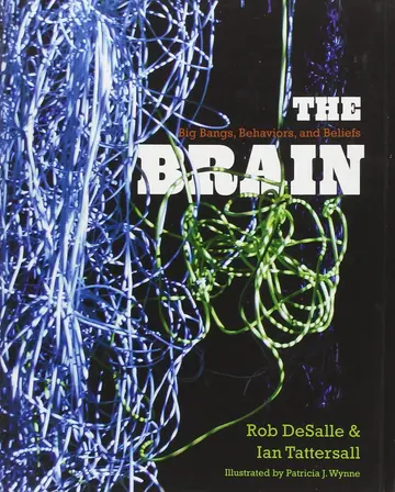 Cover of The Brain