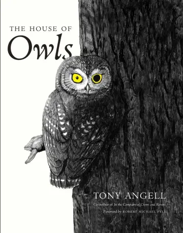 Cover of The House of Owls