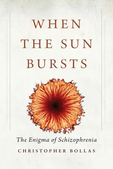 Cover of When the Sun Bursts