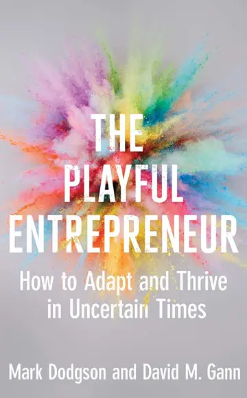 Cover of The Playful Entrepreneur