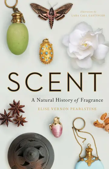 Cover of Scent