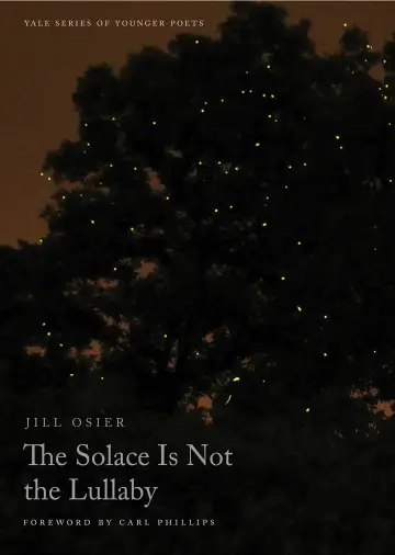 Cover of The Solace Is Not the Lullaby