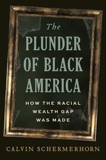Cover of The Plunder of Black America