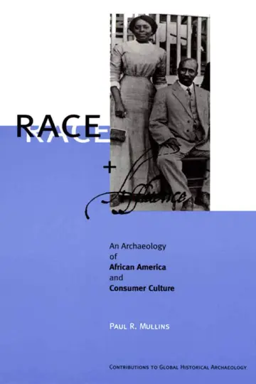 Cover of Race and Affluence