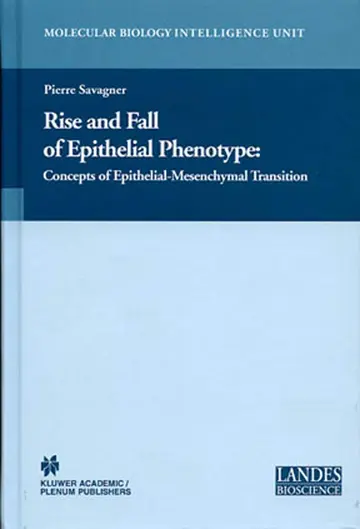 Cover of Rise and Fall of Epithelial Phenotype