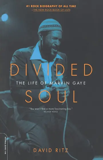 Cover of Divided Soul