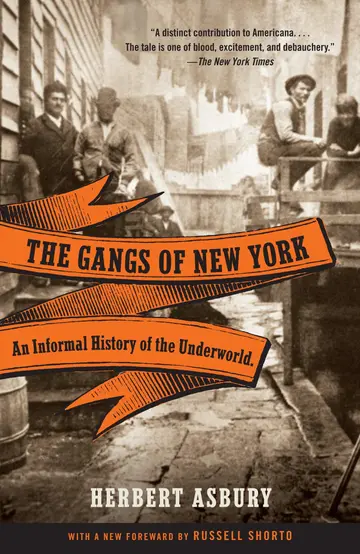 Cover of Gangs of New York