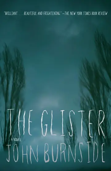Cover of The Glister