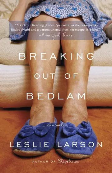 Cover of Breaking Out of Bedlam