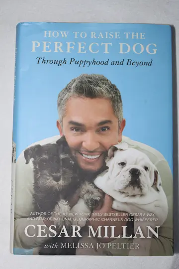 Cover of How to Raise the Perfect Dog