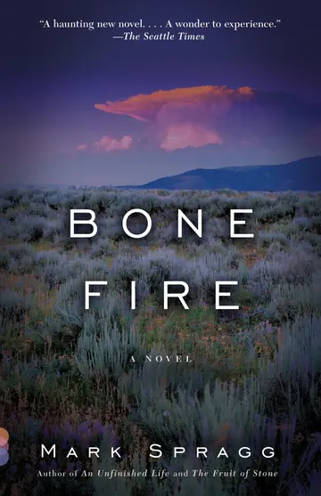 Cover of Bone Fire