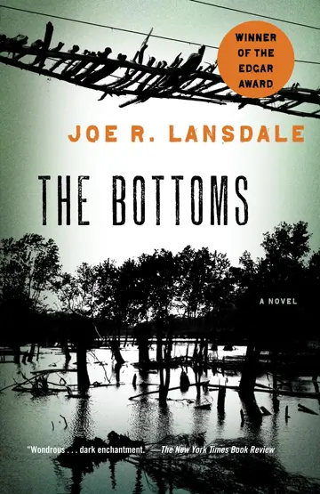 Cover of The Bottoms