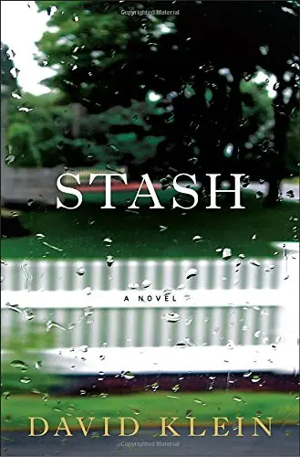 Cover of Stash