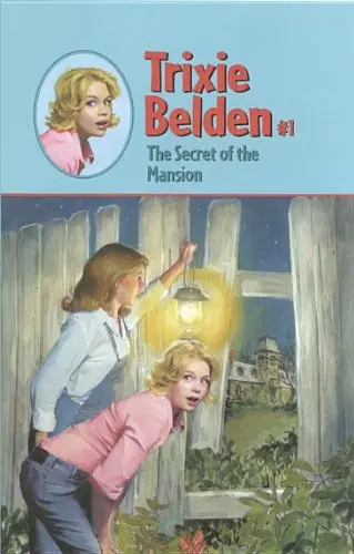 Cover of Big Clean up