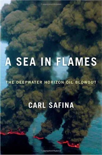 Cover of A Sea in Flames