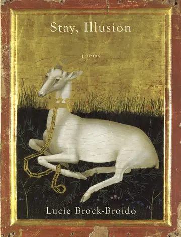 Cover of Stay, Illusion