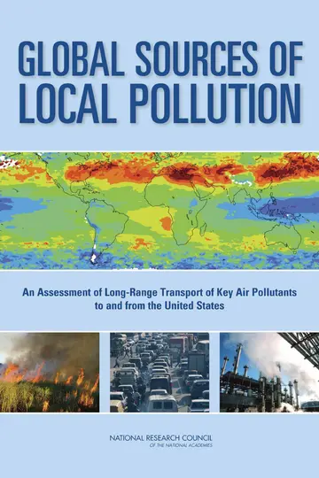 Cover of Global Sources of Local Pollution